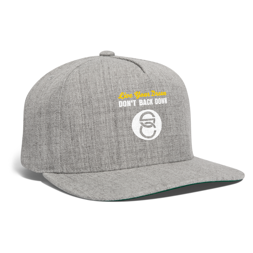 Snapback Baseball Cap - heather gray