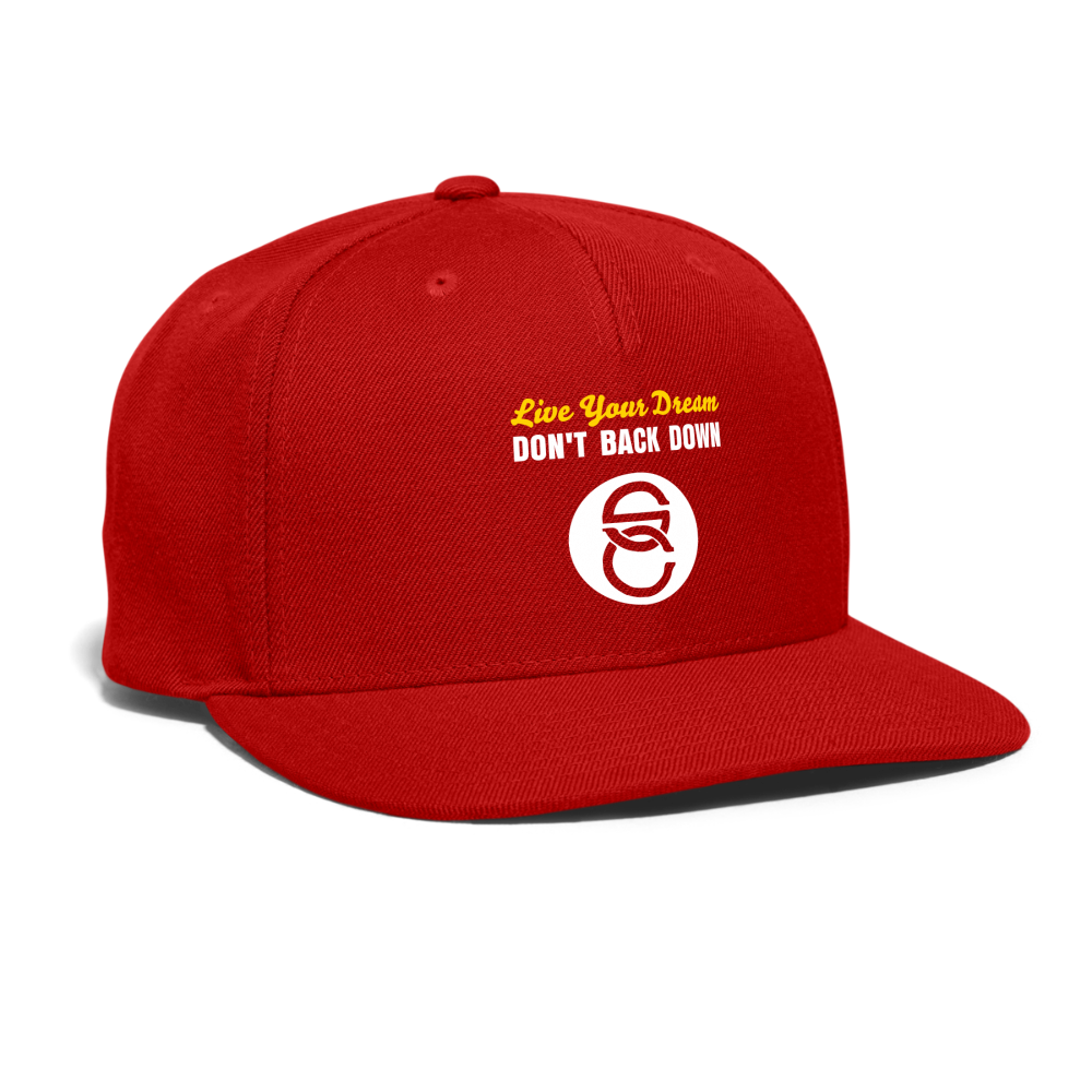 Snapback Baseball Cap - red